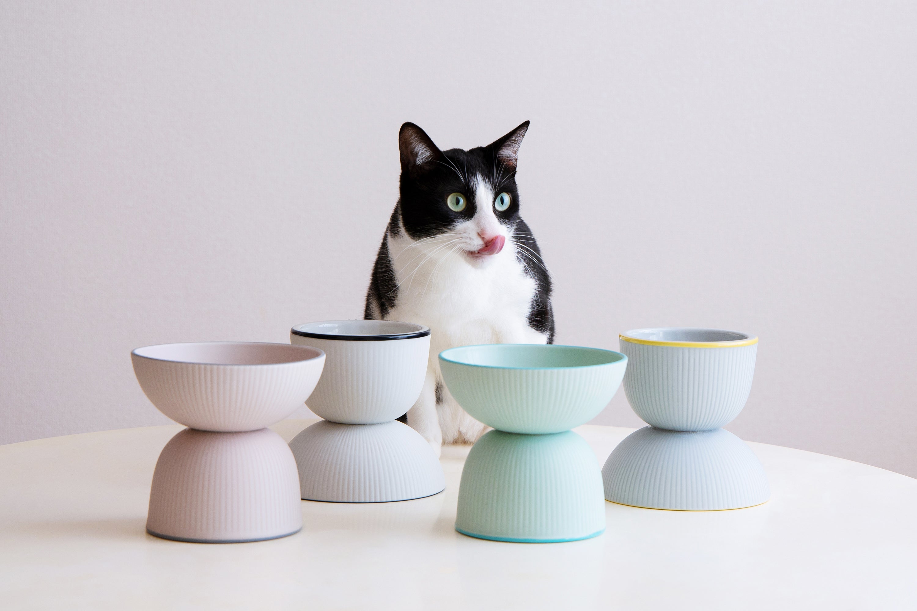 高品質の激安 tetetote：猫のためのうつわ（フードボウル）販売ブランド 羊毛フェルト